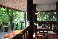 The terrace.